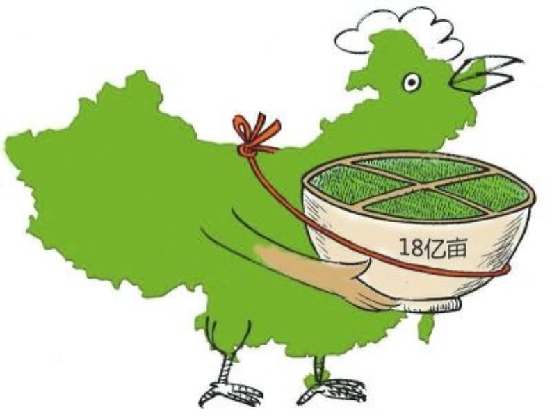 20170628288528.jpg 图片6.jpg